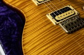 PRS Private Stock Limited Edition Howard Leese Golden Eagle-5.jpg
